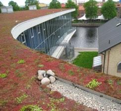 Figur 3 Principskiss för biofilter, nedsänkt konstruktion Fördröjning med gröna tak För att minska avrinningskoefficienten från taket kan byggnaderna förses med gröna tak, dvs tak med växtbädd ovanpå.