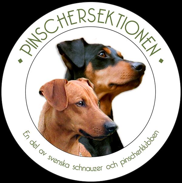 PINSCHERNYTT NR 3 1/6/2019