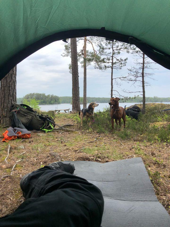 med våra tjocktröjor och jackor över sig. Vi har provat detta tidigare och hon är nöjd så länge hon får sova nära oss och halvt i båda våra sovsäckar. Det blir varmt och mysigt för oss alla tre.