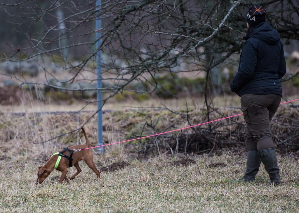 deltar i aktiviteter 400:- / Extra person utan hund 1000:- Vart: Djupdalens gård, 2 mil norr om Lindesberg Sista anmälningsdag är 15 juli och anmälan är bindande Maila in ditt