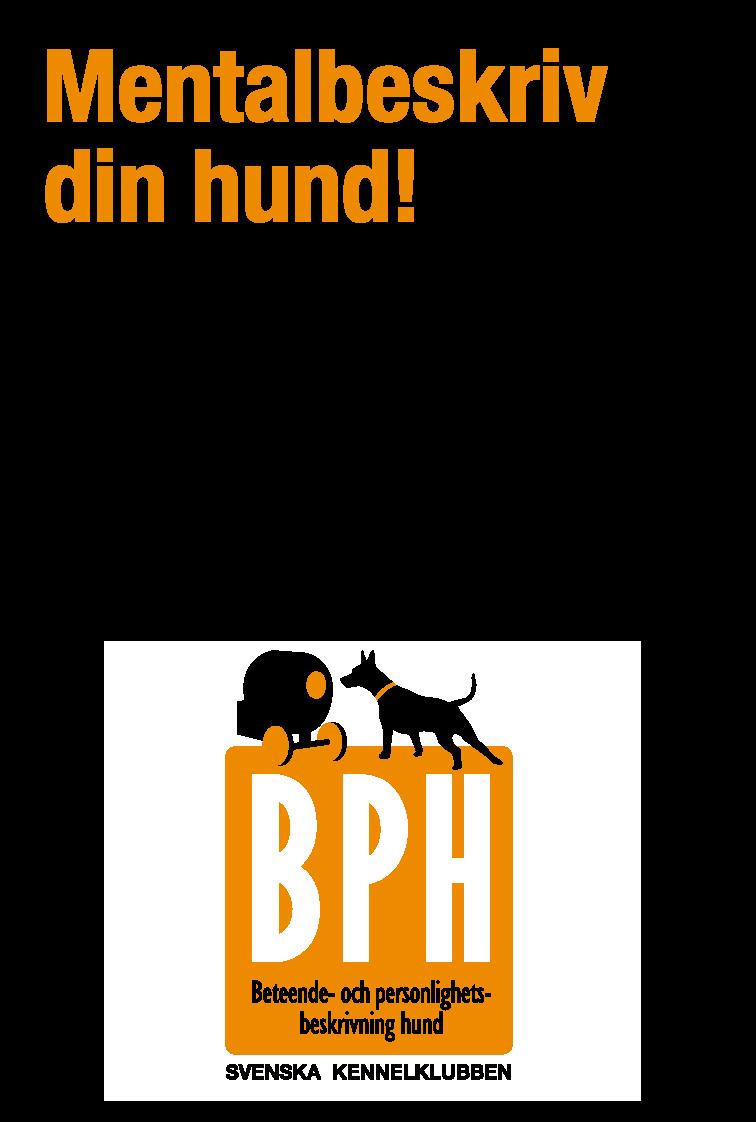 Nu anordnar Pinschersektionen BPH! BPH i Skutskär den 29/9 Kostnad 850kr Begränsat antal platser.