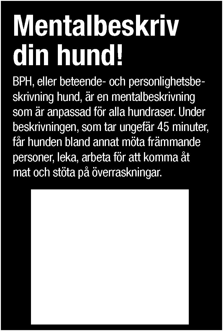 Anmälan till ami@pinschersektionen.se Hunden måste ha fyllt 1 år för att delta.