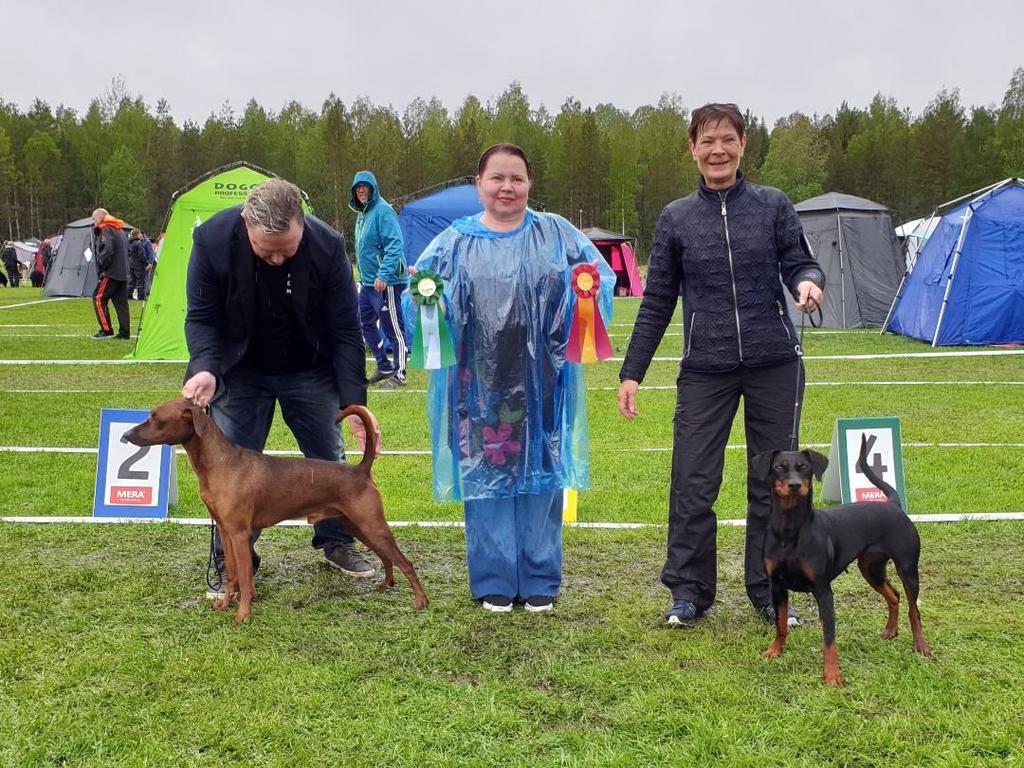 Nordic SKK GIMO 26/5 Domare: Helin Tenson Antal