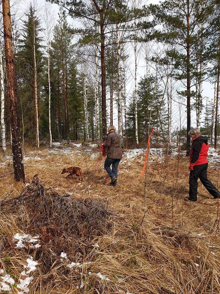 En trevlig och lyckad dag trots typiskt aprilväder, tack alla som deltog! PS. Stort grattis till Ängagårdens Chives med matte Jessica som lyckades fixa anlagsprovet några veckor senare, bra jobbat!