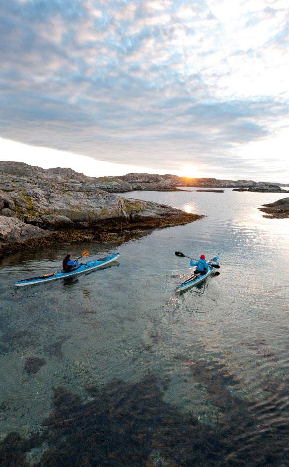 Ökat intresse för hållbart resande och naturturism Sverige attrahera allt fler besökare som söker äkta naturupplevelser och en hälsosam livsstil Besöksupplevelser produceras och konsumeras på samma