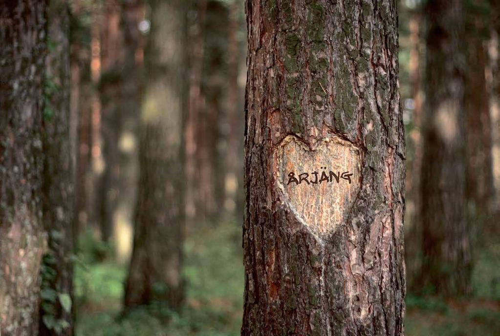 Jo, han var dels den förste nordmarking som livnärde sig på att tävla med sina raska hästar och dels var han en av dem som energiskt arbetade för att få en permanent landbana till vår del av Värmland.