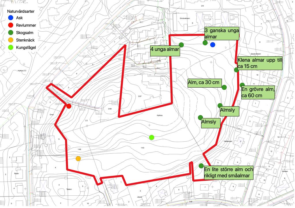 Naturvärdesinventering Vårgårda Hallaberget Naturcentrum projekt 1893 Figur 2. Naturvårdsarter sedda vid besök 26 januari (kungsfågel) och 5 april (övriga arter).