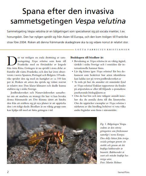Förutsättningar för att kunna agera snabbt att få in rapporter av fynd Övervakning traditionell och riktad (riskområden, etc.
