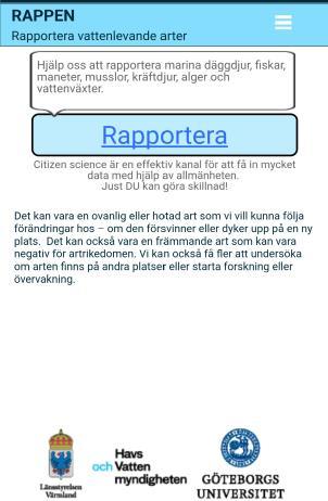 se/hav/ fiske--fritid/arter/rappen---