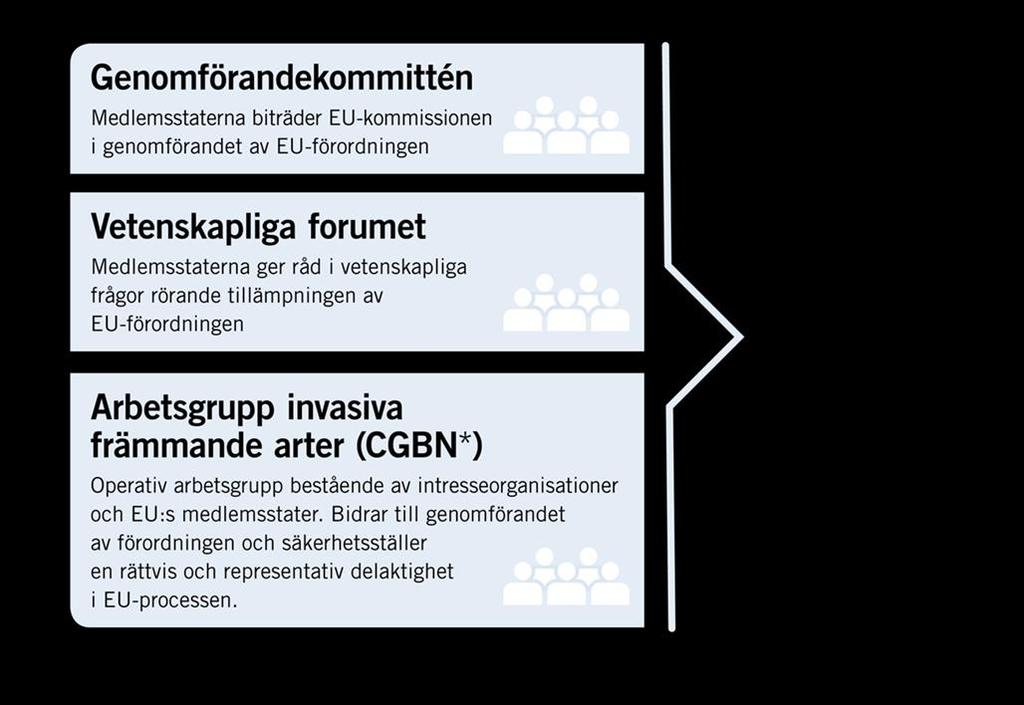 Det här gör Naturvårdsverket Bygger