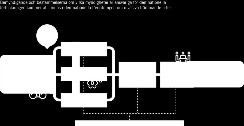 arter med stor spridning (artikel 19)