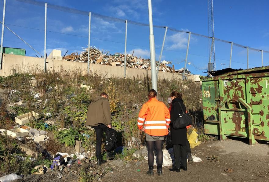 Foto: Y. Lundell Jätteloka som har bekämpats har börjat komma upp igen.
