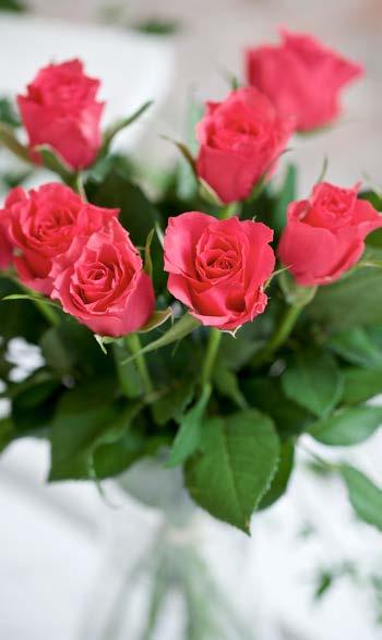 VÅRA FLORISTER ERBJUDER......alltid ett brett sortiment av buketter, planteringar och arrangemang för både glädje och sorg.
