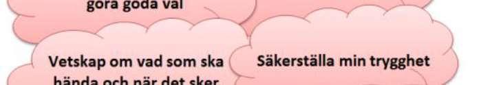 och vad/vilka som påverkar