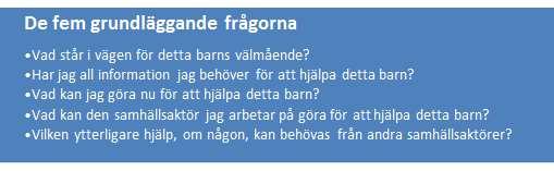 Fem grundläggande frågor När de initiala observationerna utifrån välbefinnandehjulet och min världstriangel är gjorda görs djupare observationer där det bedömts nödvändigt.