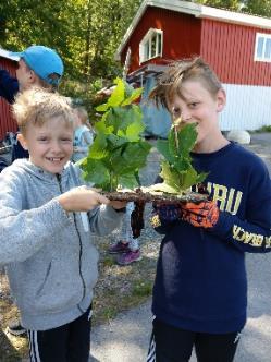 Roverscouter ansvarade och utmanare och äldre äventyrare bemannade seglarskolan.