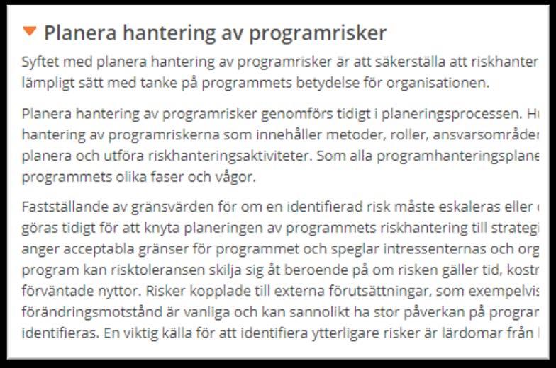 programrisker i kunskapsområdet