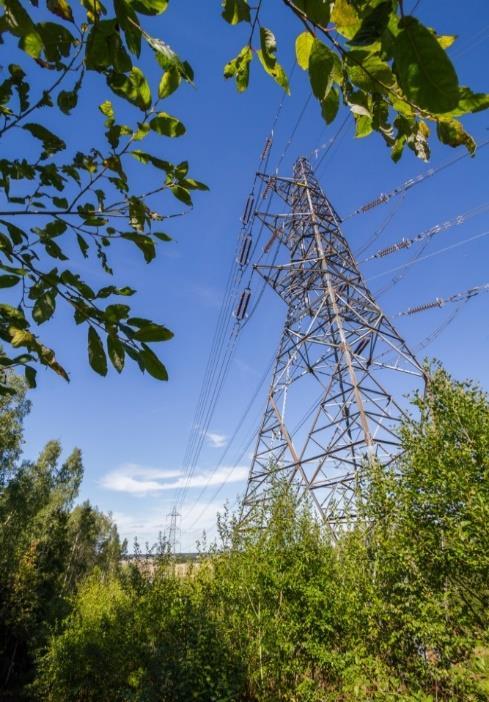 Bilaga 1: Diskussionspunkter för ett systematiskt förbättringsarbete Svenska kraftnät uppmanar alla leverantörer att fundera över och diskutera de avvikelser och risker som lyfts upp i rapporten.