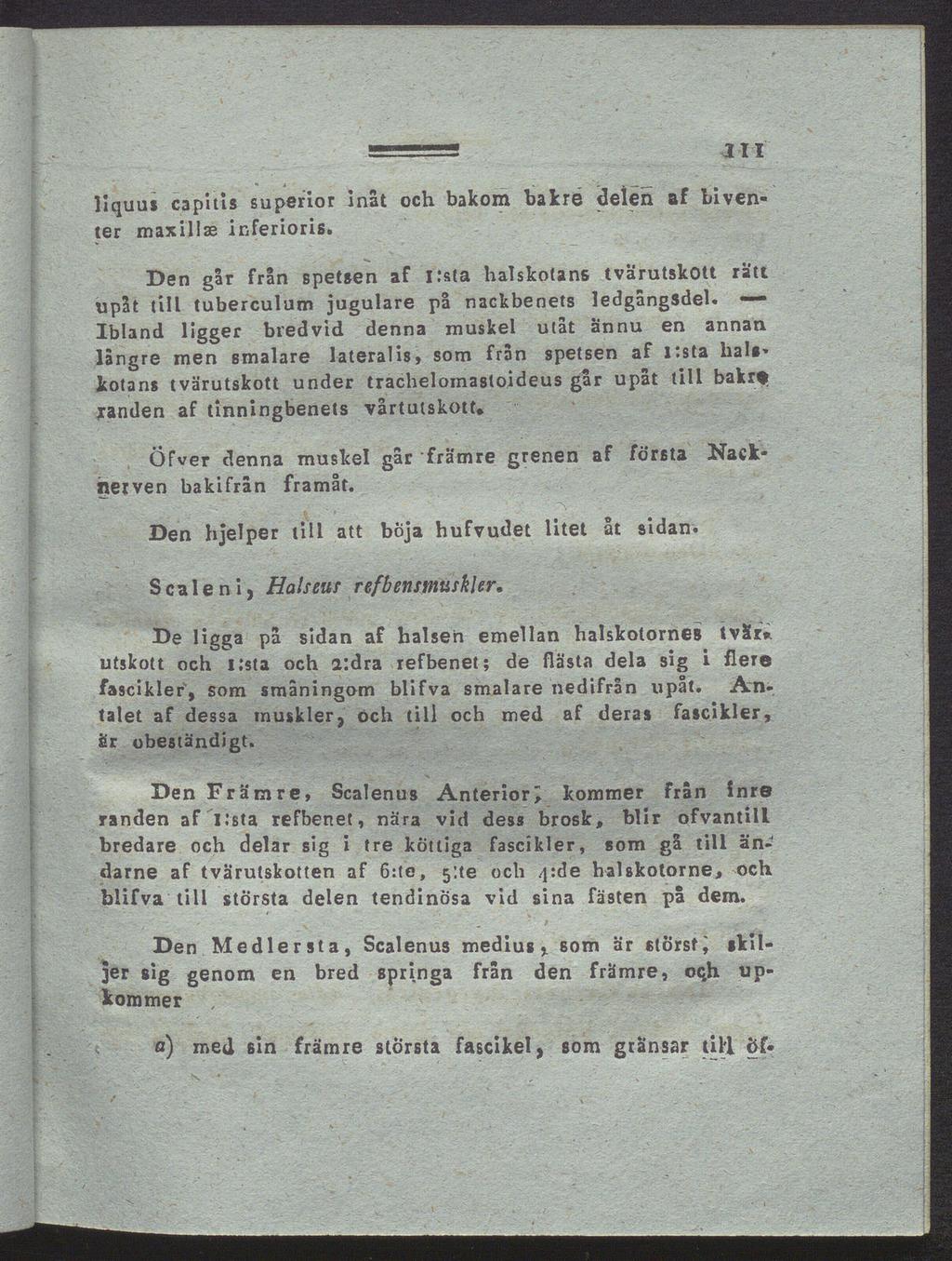 - 311 liquus capitis superior inåt och bakom bakré delen af biventer maxillse inferioris.
