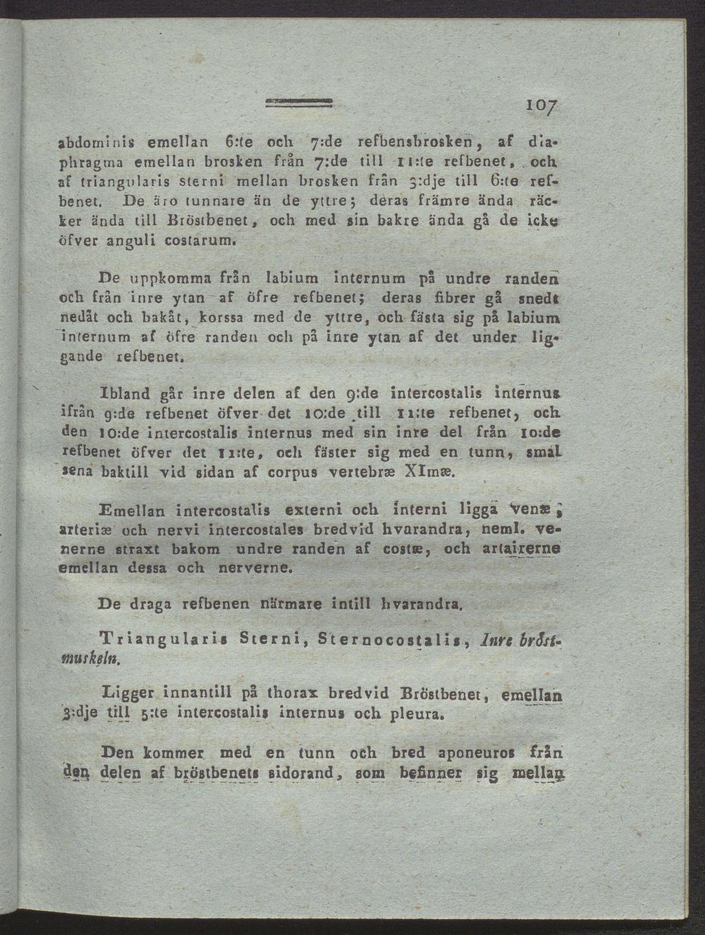 «fsa abdominis emellan 6:te och 7:de refbensbrosken, af dlaphragma emellan brosken från 7:de till 11:ie refbenet, och af triangularis sterni mellan brosken från 3:dje tili 6:te ref benet.