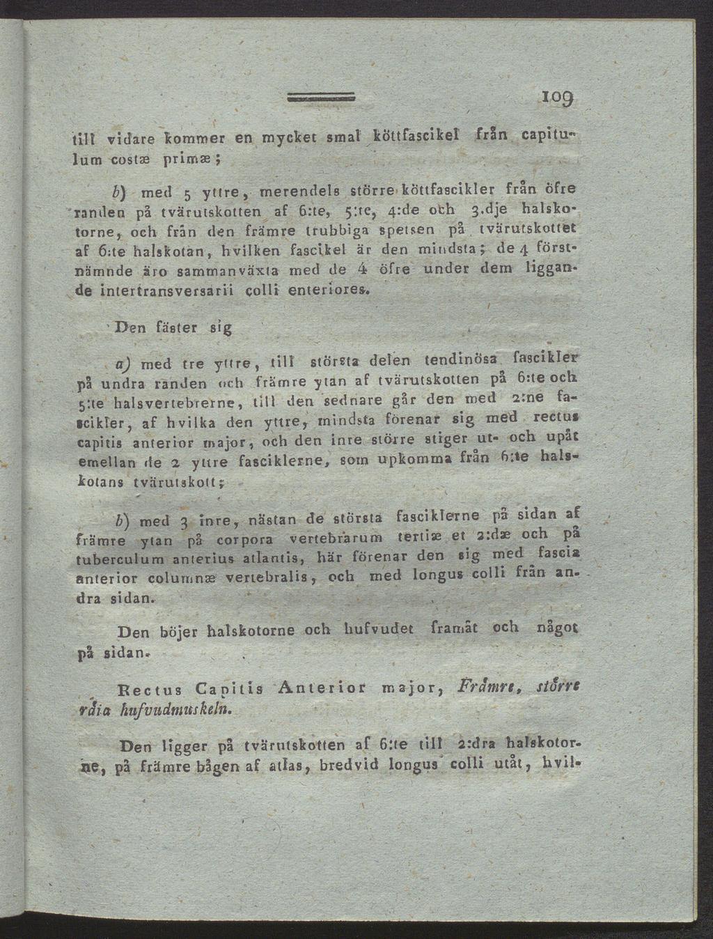 = io9 till vidare kommer en mycket smal kottfascikel från capitu«lum costae primae ; b) med 5 yttre, merendels större köttfascikler från öfre ramlen på tvärutskotten af 6:te, 5'.