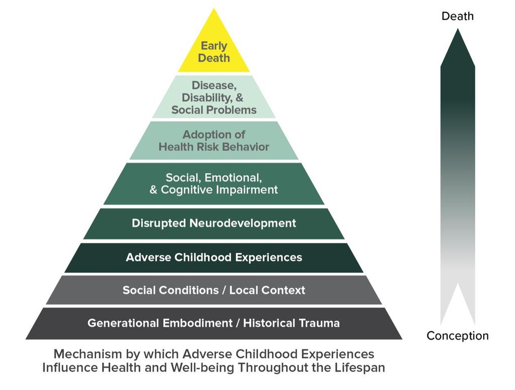 Adverse Childhood Experiences