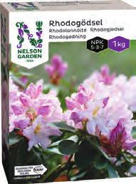 199:- 79 90 49 90 Hortensia Sundae Fraise Hydrangea paniculata