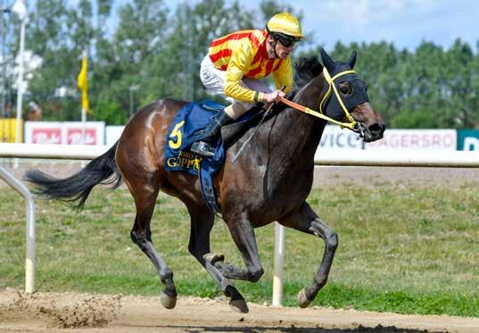 Svenskt Oaks Svenskt Oaks Wings of Love en andraplats i Bro Park Derby Trial och fick därmed ett Wild Card.