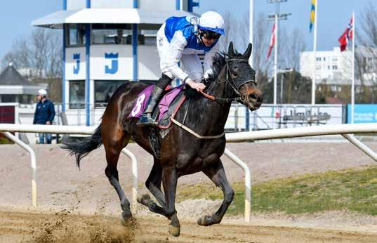 Svenskt Oaks Svenskt Oaks Nouvelle Lune Manuel Martinez är en stiljockey som tävlar både i Skandinavien och Sydamerika. Han har nio segrar på 69 starter i Sverige i år.