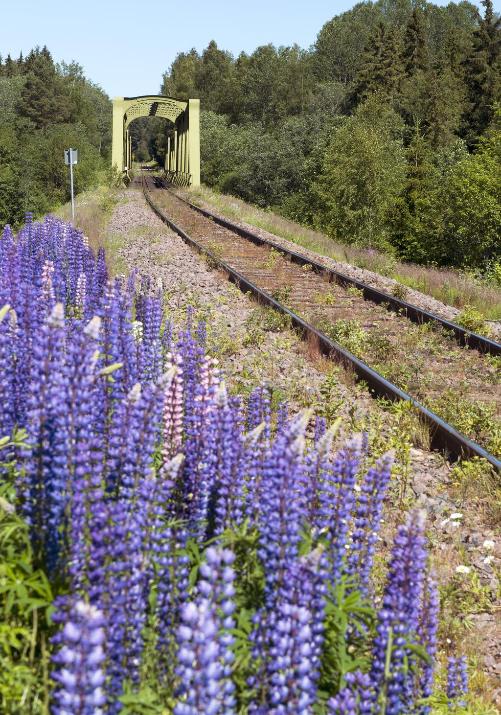 Delrapport 14 juni 2019
