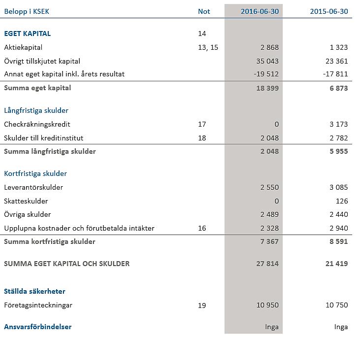 Koncernens balansräkning 2015/2016 - Eget kapital och skulder Sidan 30 Årsredovisningen Egna kapitalet uppgick till