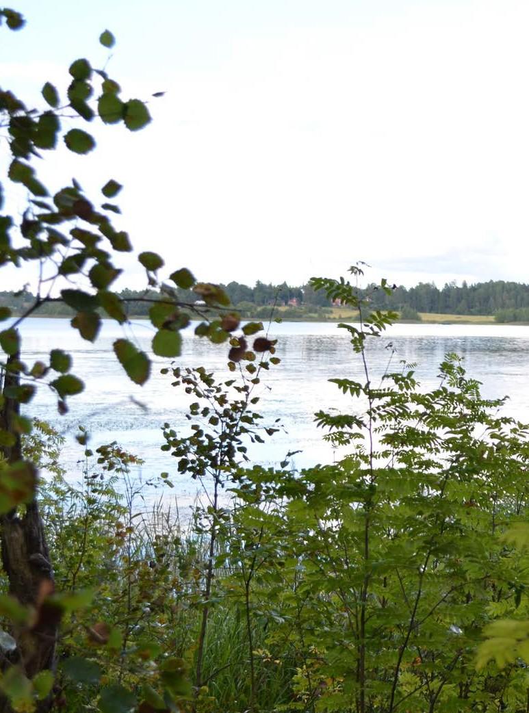 Friluftsleden som löper runt träsket, närheten till riksväg 6 samt kyrkbyns och de nya bostadsområdenas närhet till träsket gör att det är en betydande fast punkt för kommunen.