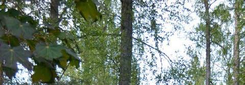 PLAN Principer: Planen är uppbyggd kring tre huvudteman natur, samfund och tradition.