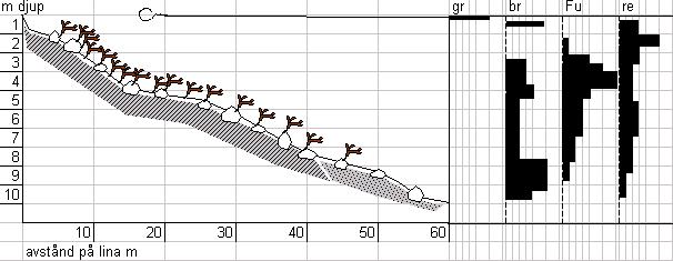 Lokal 19. Tjuvön Datum: 2002-08-15 Siktdjup: 6m N 61 56 850 E 017 22 443 Riktning: 246/400 Utanför Mellanfjärden, där Tjuvön viker av mot norr vid en klippudde mynnar fjärden ut i havet.