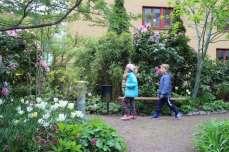 och Muscari