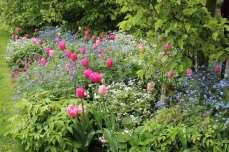 som blommar