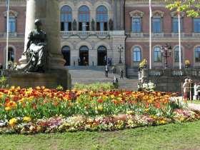 andra vårblommor före
