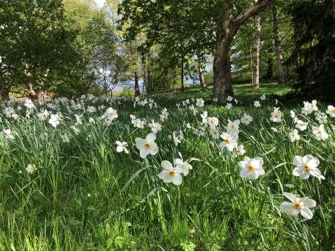 3 maj 2019