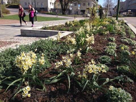 Kungälv 20 april