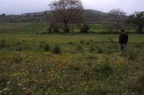 Grekisk