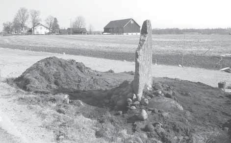 Fig. 9. Framrensning av stenpackningen kring den södra av Kungsstenarna.