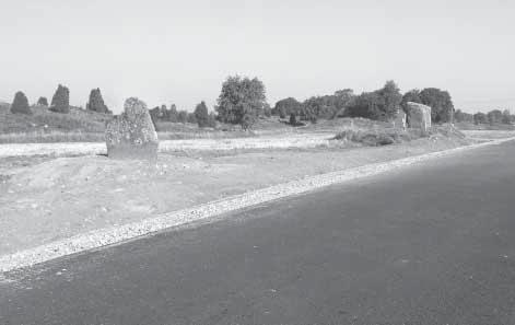 Fig. 17. Den södra av Kungsstenarna nya placering väster om RV 46. En upprätning av stenen har gjorts efter det att bilden togs. Foto: T. Fors.