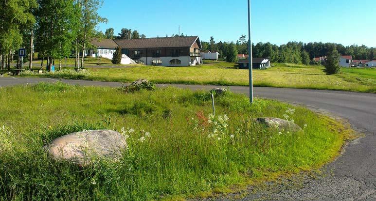 Diarinummr BN 2/32 komstr av grönvit nattviol som är n orkidé. Alla orkidér i Svrig är fridlysta och omfattas av Artskyddsförordningn (SFS 2007:845). lanns gnomförand ska int bhöva påvrka vgtationn.