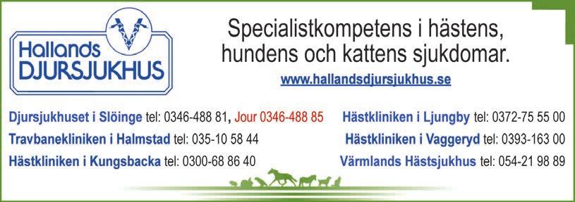 Anläggning Per-Arne Henryson 070-813 09 33 Karl-Åke Gustafsson 070-623 55 57 Kenth Jung 070-529 98 33 Måldomare Jonny Staf Måldomarnämnd Dick Sjöberg, Daniel Klasson, Björn Martinsson Bandomare