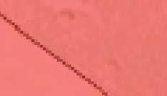 1 2 3 4 5