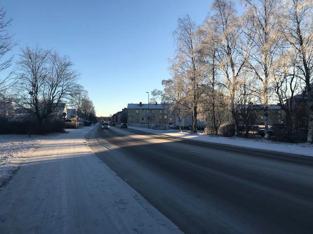 10 Granskningshandling Gaturummet Krondikesvägen med Parkremsan och Kastanjen till höger och Törnrosen 12 mitt i bilden.