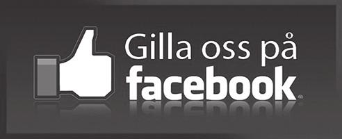 Aktuellt i SAMHÄLLSINFORMATION FINSTRÖM DISTRIBUERAS TILL ALLA HUSHÅLL OCH FÖRETAG I FINSTRÖM NR 5/ MAJ 2019 Bibliotekens dag på Åland Biblioteken på Åland firar gemensamt Bibliotekens dag med