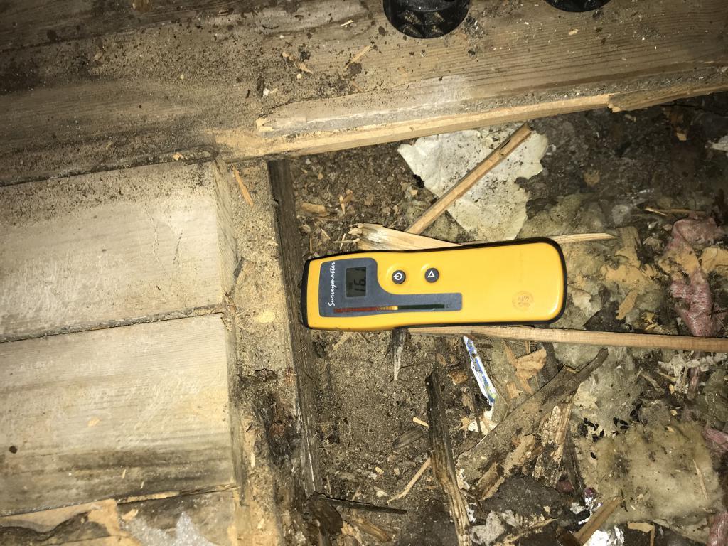 LI19-24 14 Visar fuktkvotsmätning ganska högt upp i golvkonstruktionen. Under det övre trägolvet under laminatgolvet.