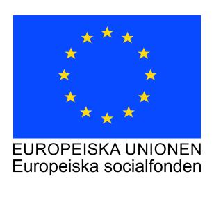 Famnas kompetensforum i ehälsa 2015-2018 2000 deltagare, 45 000 utbildningstimmar Projektet har gynnat framfarten av IT-utveckling i