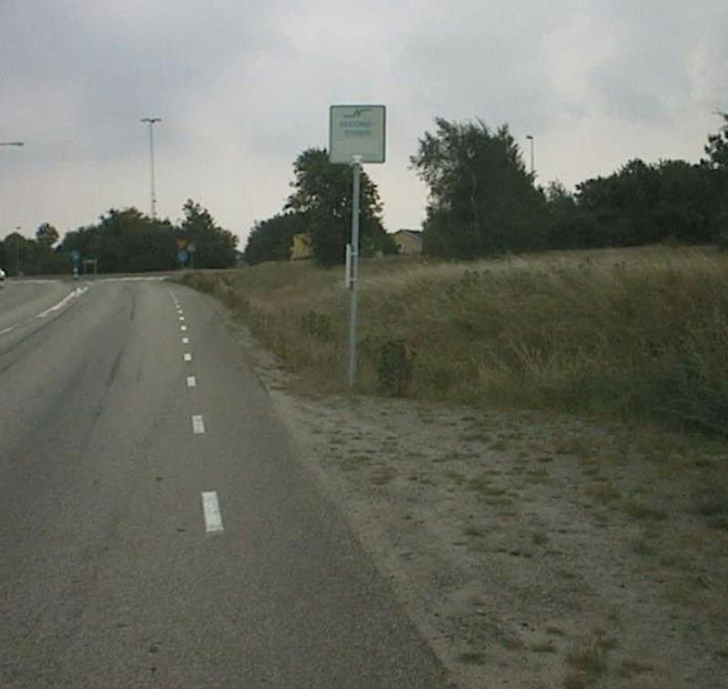 Begoniastigen,